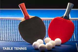 Nirvana garden Table Tennis